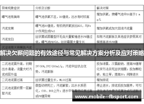解决欠薪问题的有效途径与常见解决方案分析及应对策略