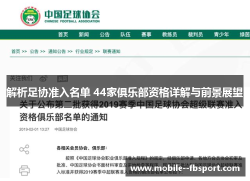 解析足协准入名单 44家俱乐部资格详解与前景展望