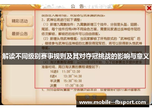 解读不同级别赛事规则及其对夺冠挑战的影响与意义
