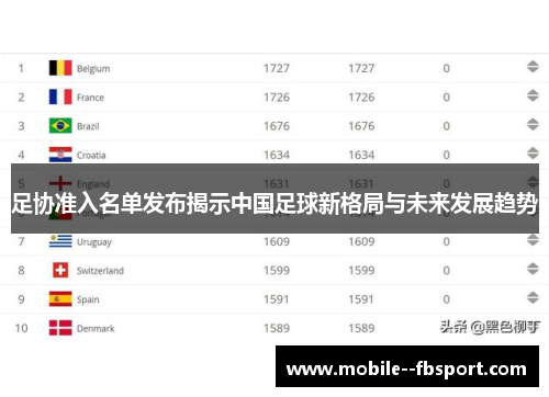 足协准入名单发布揭示中国足球新格局与未来发展趋势 足协准入名单发布揭示中国足球新格局与未来发展趋势