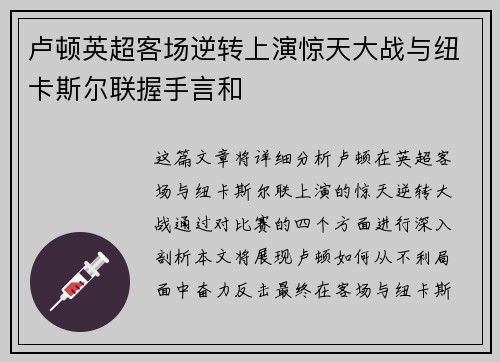 卢顿英超客场逆转上演惊天大战与纽卡斯尔联握手言和 卢顿英超客场逆转上演惊天大战与纽卡斯尔联握手言和