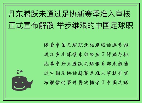 丹东腾跃未通过足协新赛季准入审核正式宣布解散 举步维艰的中国足球职业化困境再现